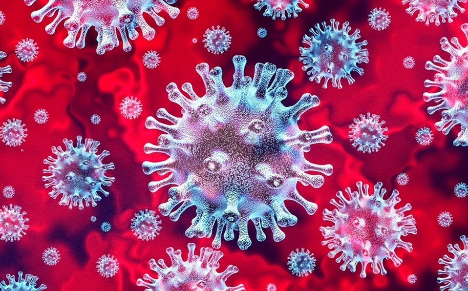 Ordinary citizens join campaign against coronavirus