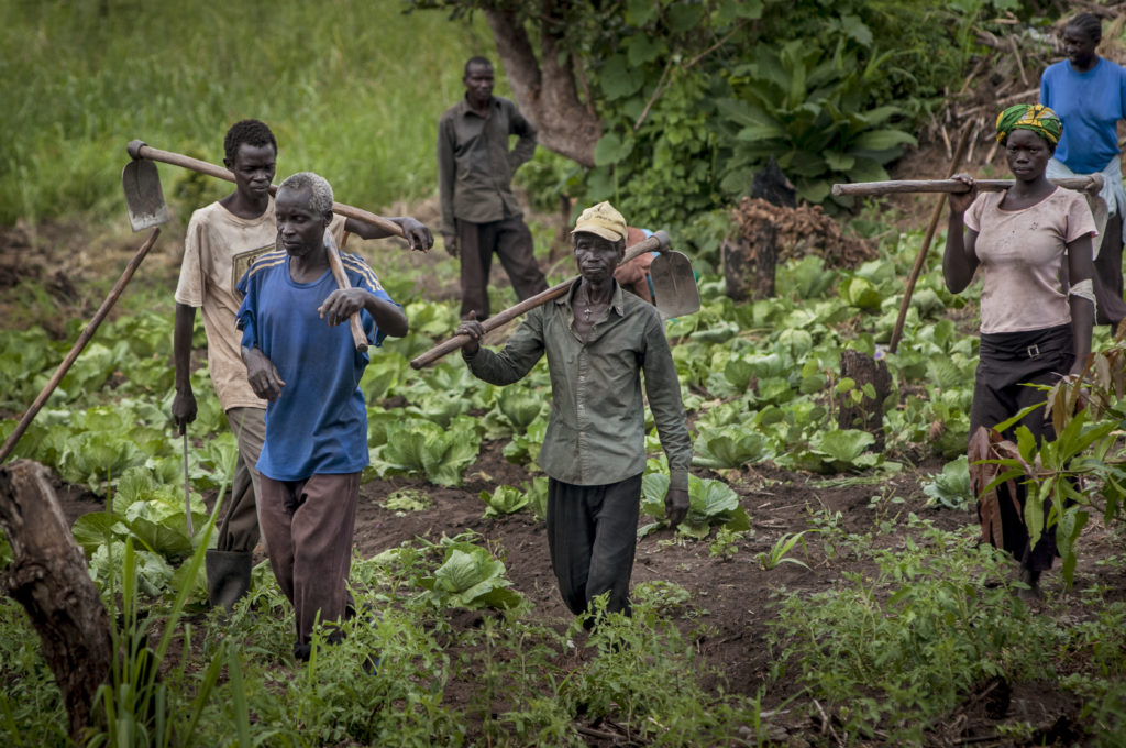 Invest in agriculture to fight youth unemployment