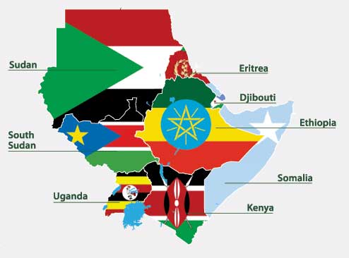 South Sudan dominates agenda at IGAD 36th Extraordinary Assembly