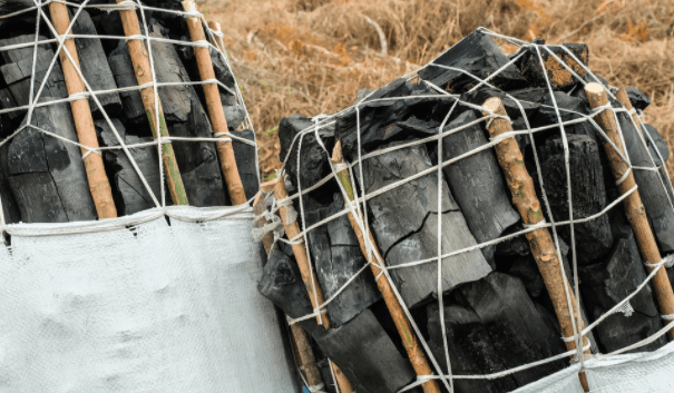 South Sudan forests at risk of depletion – report