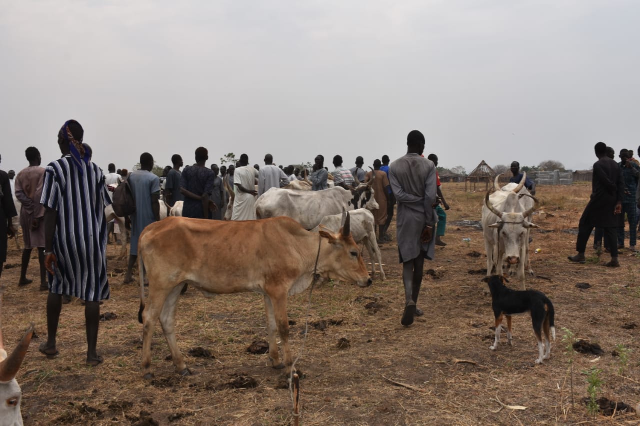 Time to make livestock keeping  a blessing and not a curse