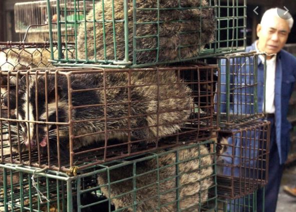 South Sudan ‘will not rush’ UN’s directive banning sale of live animals