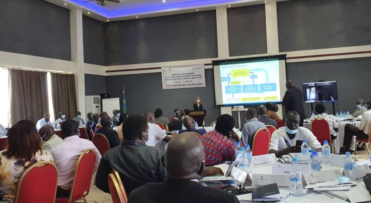 South Sudan begins constitution-making process