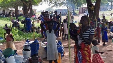 Cattle keepers flushed out of Juba