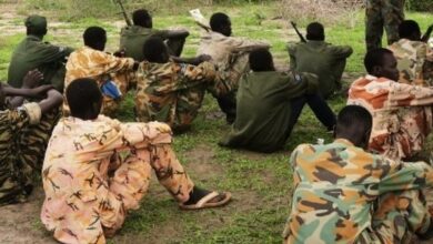Unified forces ready for graduation, says Joint Security Mechanism