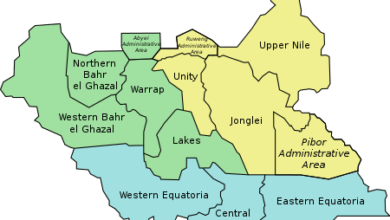 Security situation in Tonj remains ‘unpredictable’