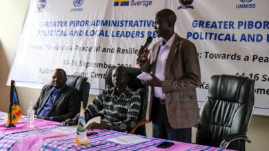 Peace, reconciliation workshop kicks off in Pibor