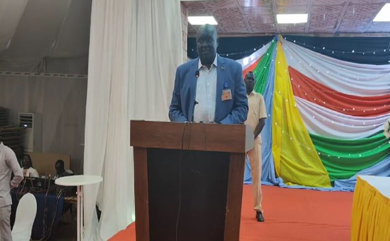Governor Mabor promises disarmament for sustainable peace