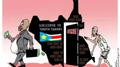 We must avoid lip service in addressing graft