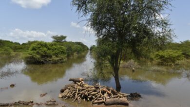 Over 700,000 endangered by floods- UNHCR