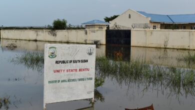 More than 70 health facilities submerged by floods – MoH