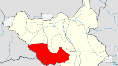 Western Equatoria Minister survives gun attack