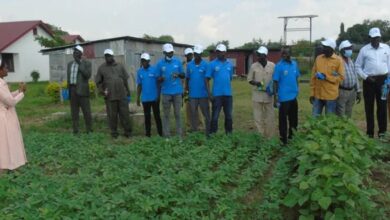 Catholic  nuns sensitise 25,000 local farmers