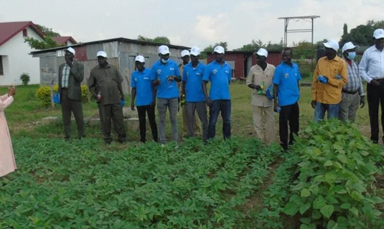 Catholic  nuns sensitise 25,000 local farmers