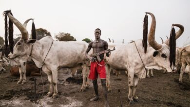 Mundari community calls for disarmament