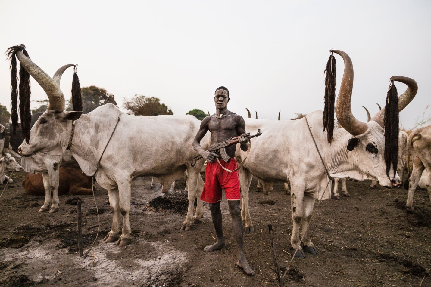 Mundari community calls for disarmament