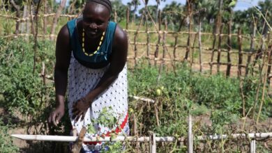 Food safety still a challenge in South Sudan