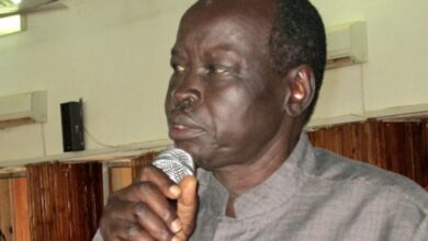 Arms embargo bars solutions to Greater Jonglei killings-Mathok