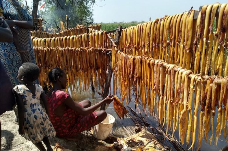 Women struggle to rise from ruins of Fangak floods