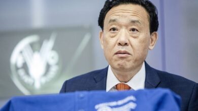 FAO waves red flag over soil salinisation