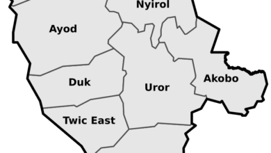 Fangak County Commissioner condemns violence in Leer