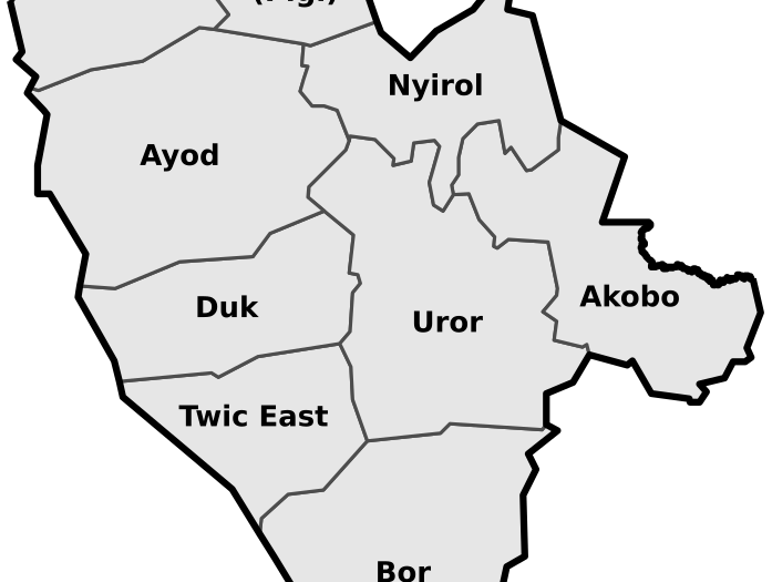 Fangak County Commissioner condemns violence in Leer