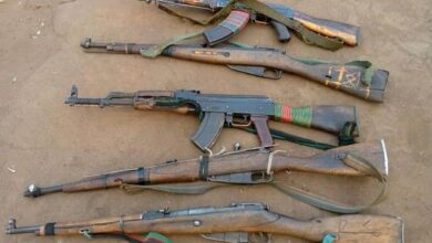 20 people killed, over 1,000 herds of cattle raided in EES