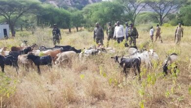 Governor calls for refrain after Nimule attack, wants cattle keepers evacuated