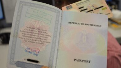 Immigration: Where money talks to unlock services