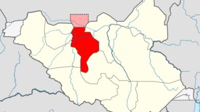 Clashes displace over 3,000 families in Twic County