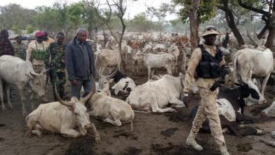 Governor Lobong leaves troubled Nimule