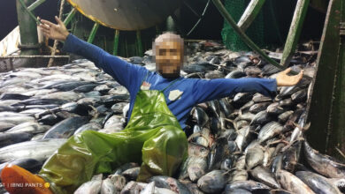 15 Governments Adopt Mombasa Declaration to Strengthen Global Fisheries Transparency