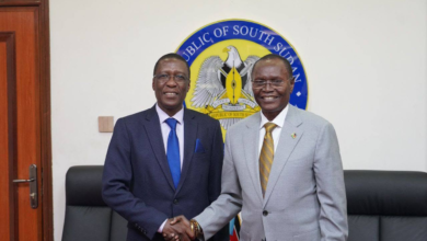 Foreign Minister meets RJMEC chair, German envoy over country, regional peace